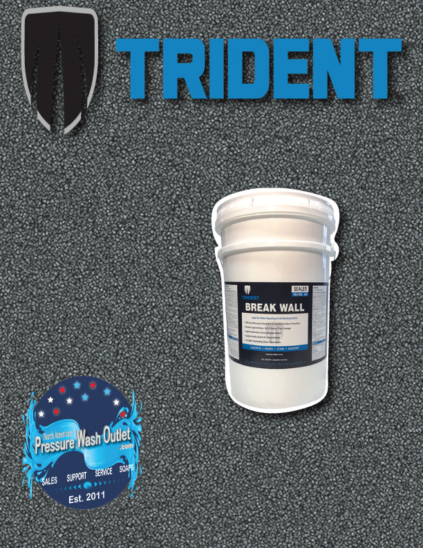 Brake Cleaners  Advance Trident