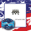 33983 KIT, SEAL by CAT PUMPS