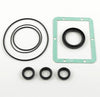 KIT 42474 OIL SEALS RCA & RCV SERIES by AR PUMP